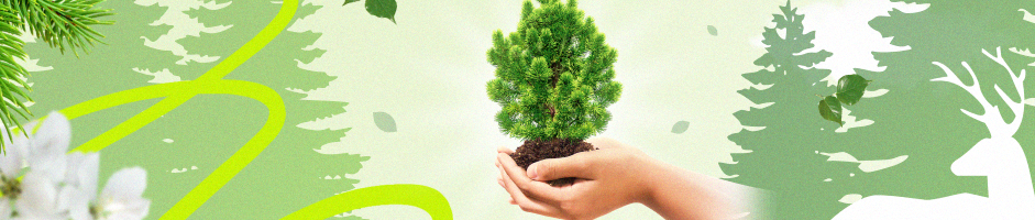 Дари добро: посади дерево